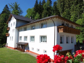 Гостиница Apartment Todtmoos 1  Тодтмос-Вег